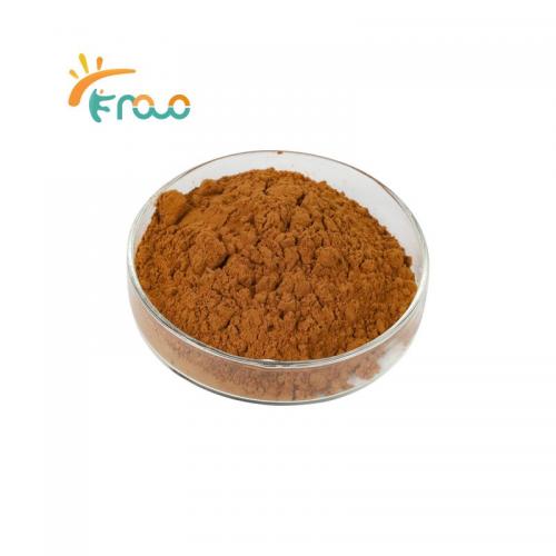 Lion's Mane Mushroom Extract Powder các nhà cung cấp