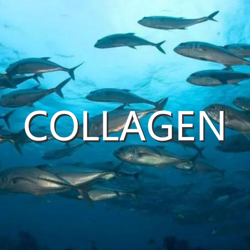 So sánh các thành phần collagen và phương pháp loại bỏ mùi