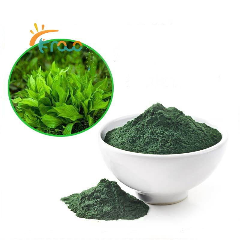 Bột Chlorella có tác dụng gì?