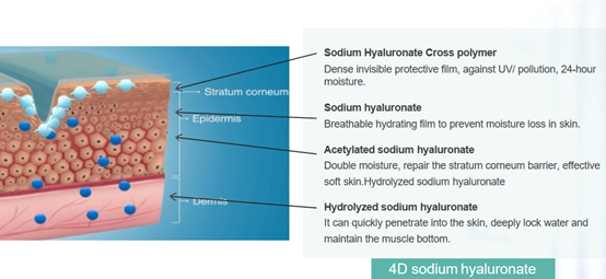 Natri Hyaluronat 4D (HA)