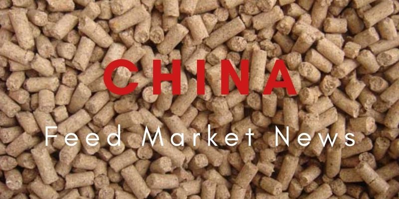 Tin tức về nguồn cấp dữ liệu Maket của Trung Quốc - Phân tích thị trường xuất khẩu của Lysine vào tháng 9 năm 2021